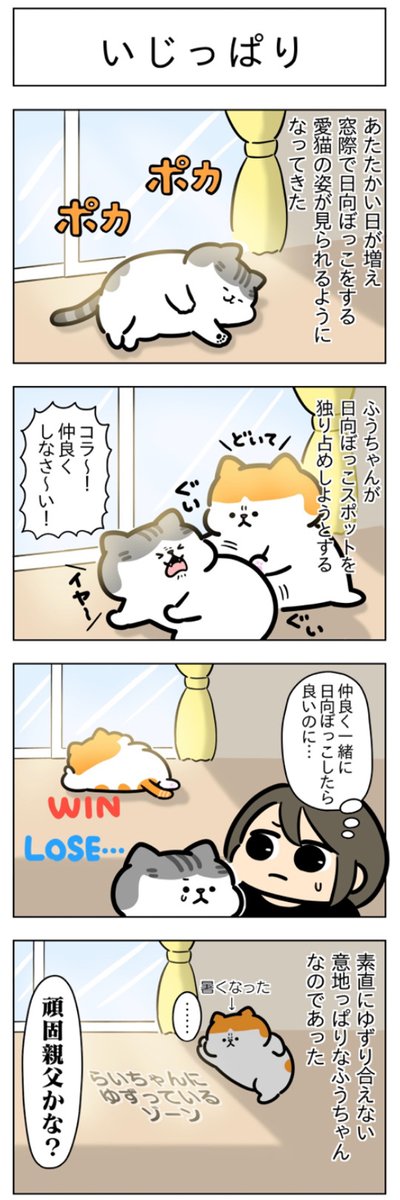 いじっぱり・全開│フェリシモ猫部 https://t.co/brKP5dUeZG 