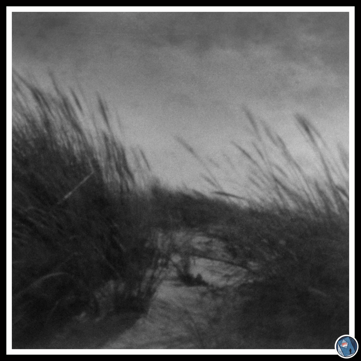 ___Harmless stuff___
+The wild grasses +
.
#filmphotography #stenope 
📷 #ricohxr1 fitted with pinhole/sténopé
🎞 #35mmfilm #fomapan400 developed in #caffenol
.
#pinhole #pinholephotography #pinholeonfilm #pinholecamera #photography #seascape #landscapephotography