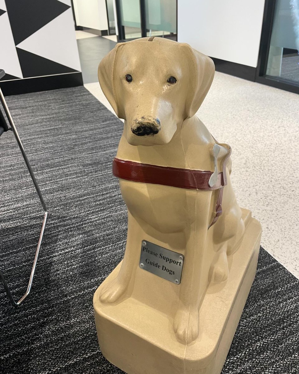 Dolly Diamond @guidedogsaustralia Ambassador is transforming one of our beloved donation dogs into a glamorous symbol of pride.

“I asked my friends at Ruthless! The Musical to help me and you can meet Doggy Diamond on Sunday @ChillOut_Fest ”

Live life without limits #inclusion