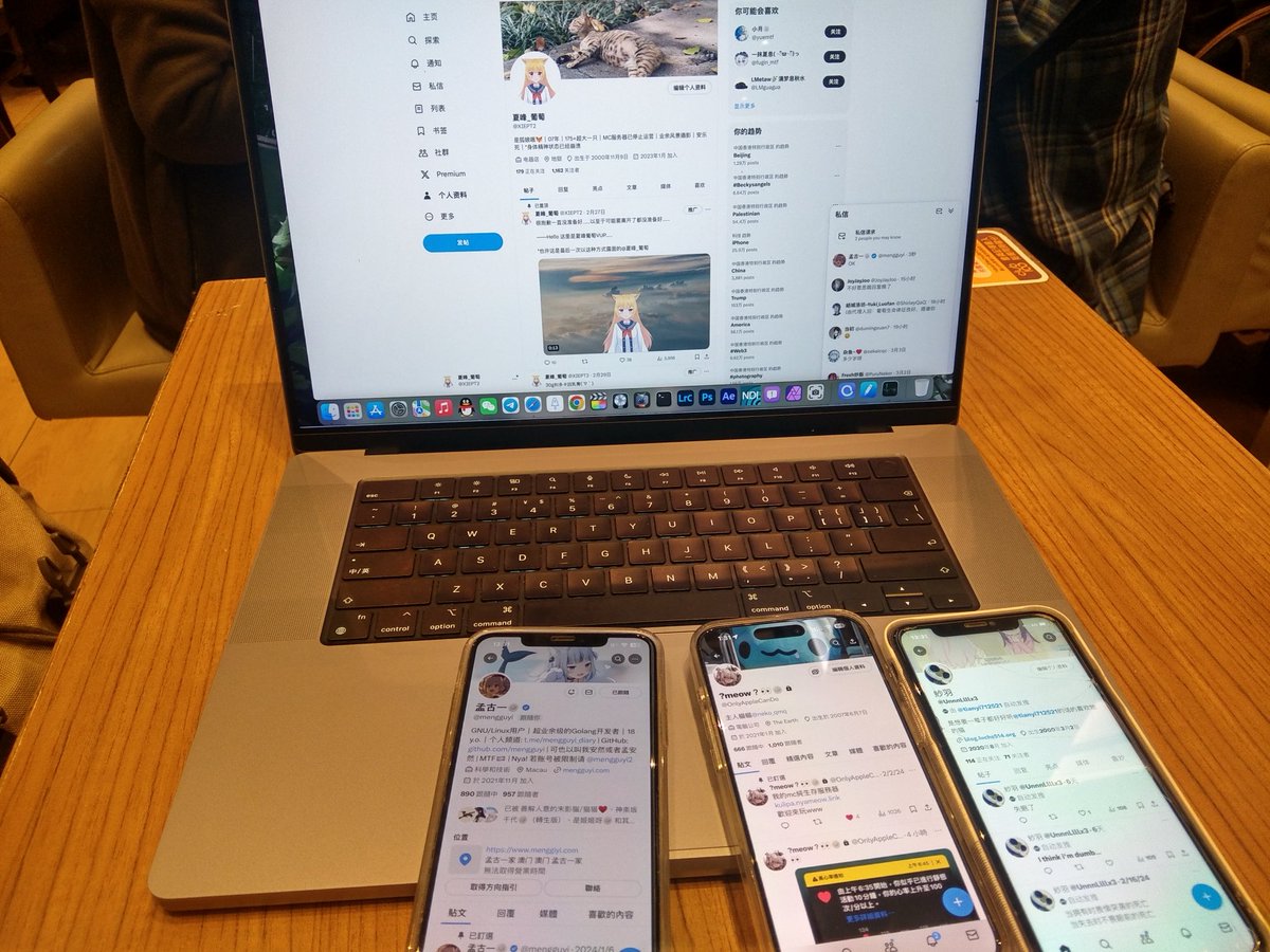 meow!🐭 tweet media