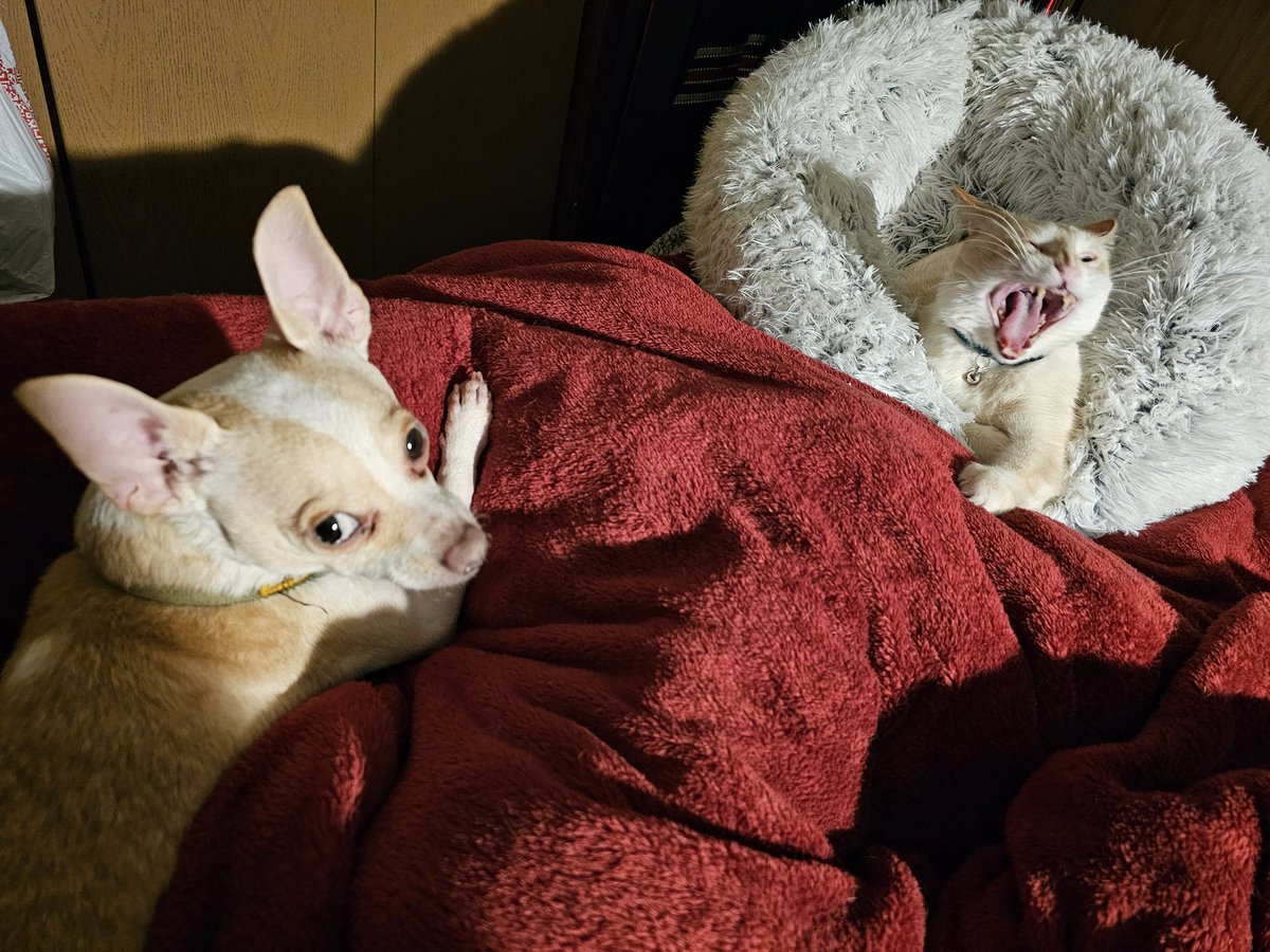 Mahhhmm HE'S LOOKIN AT MEEEEEE