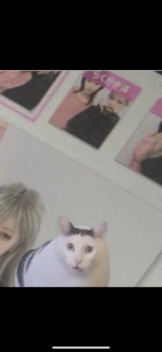 Xiioy_'s tweet photo. しぬ、WWWWWWWWW https://t.co/4lWA6j11BO