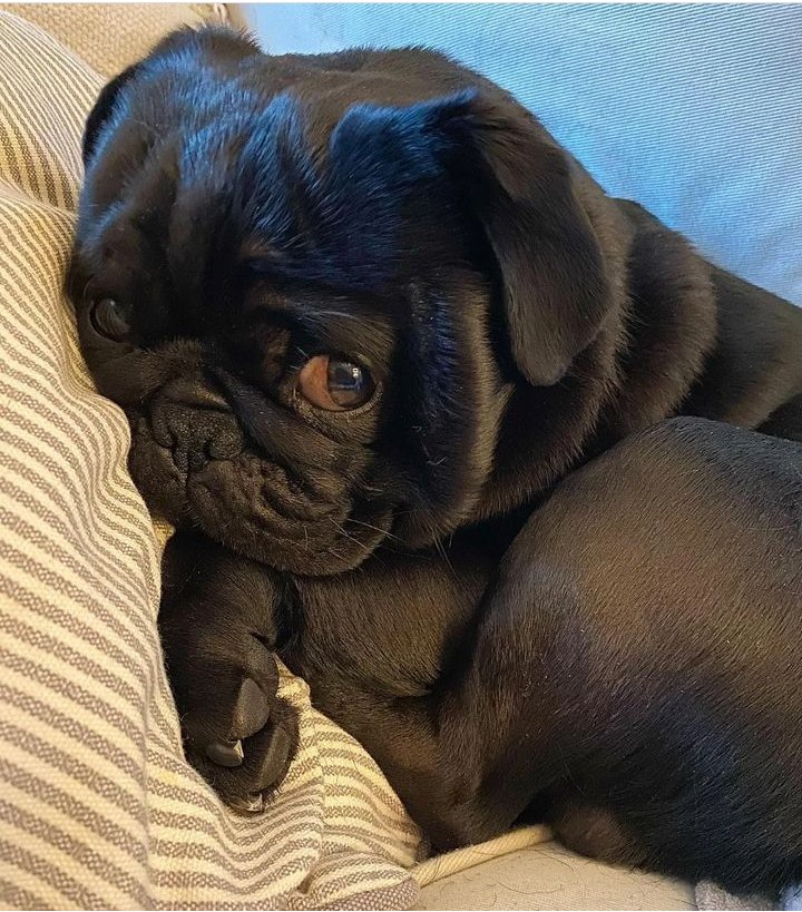Nobody loves me Because I,m not cute