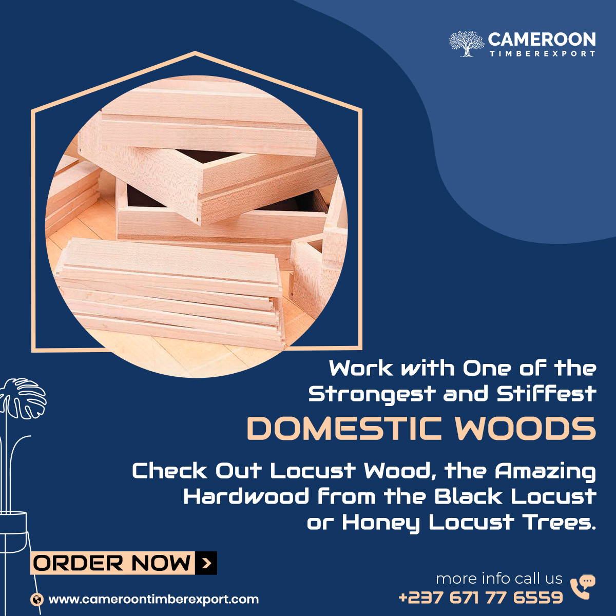 Work With One of the Strongest & Stiffest Domestic Woods🪵

Check Out LOCUST WOOD📢📢📢

Order Now: cameroontimberexport.com/product/locust…

#timber #lumber #wood #export #woodsupplier #timbersupplier #locust #black #USA #canada #MondayMotivation #buynow #ordernow