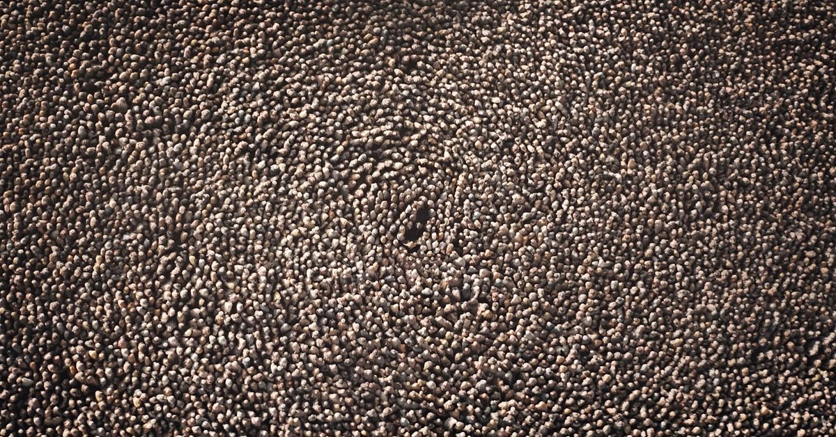 Ridd 🤿 tweet media