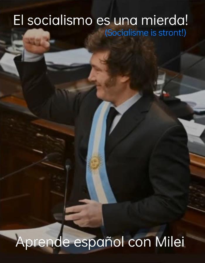 libertairenNL's tweet photo. Leer Spaans met Milei https://t.co/vxQXGxnCGT