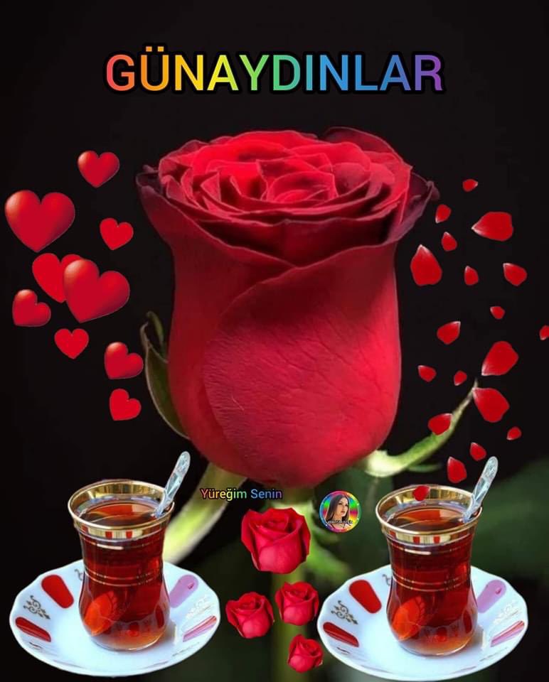 Alamedin3's tweet photo. rabım her zaman yardımcın olsun emin görev yaptığın köyde inşalah sana iyi bakşyorlar gerçi köyde oturanlar daha merhametliler https://t.co/mlgll2Y7gg