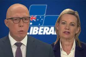 Savva describes Tehan as “delusional” with regard to his opinion on the #DunkleyByelection 
Savva describes Sussan Ley: “She’s a loose cannon”
A few home truths for the Liberal party to consider.
#LibsInTrouble
#PaladinPete 
#SillySussan
#Unelectable