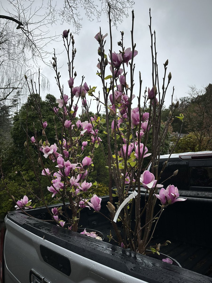 Annie Terry tweet media