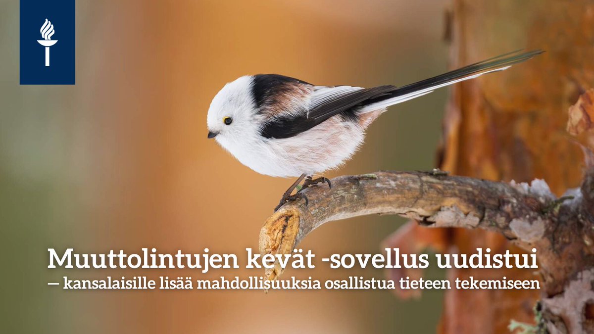 Viime keväänä Muuttolintujen kevät -sovellus keräsi suursuosion suomalaisten keskuudessa ja johti yli miljoonaan lintuhavaintoon. Nyt sovellukseen on tullut päivitys — jatkossa se mahdollistaa myös lintujen esiintyvyyden tutkimisen! 🎵🐦

Lue lisää ➡️ r.jyu.fi/Fj5