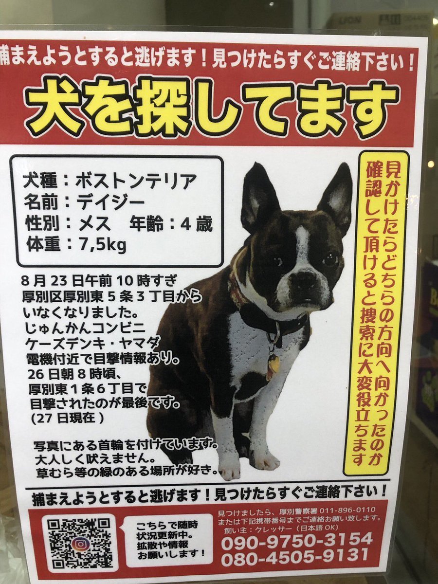 knm_nyanko2's tweet photo. 拡散お願いします🤲

私が見つけたポスターでは無いので詳しいことはわかりませんが私のフォロワーさんもし見かけたらよろしくお願いします。　捕まえようとしたら逃げるみたいなので注意してください⚠️#札幌　#迷子犬　#ボストンテリア https://t.co/LAz1sCHEYM