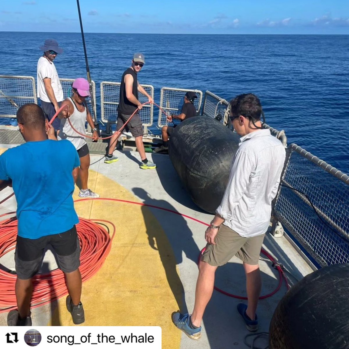 Dr. Asha de Vos tweet media