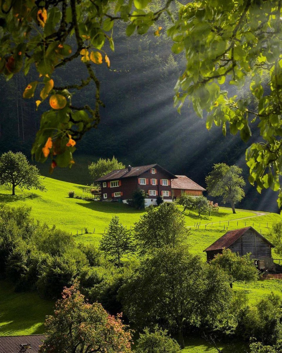 SeascapeNature's tweet photo. Switzerland https://t.co/soO2FMCONv
