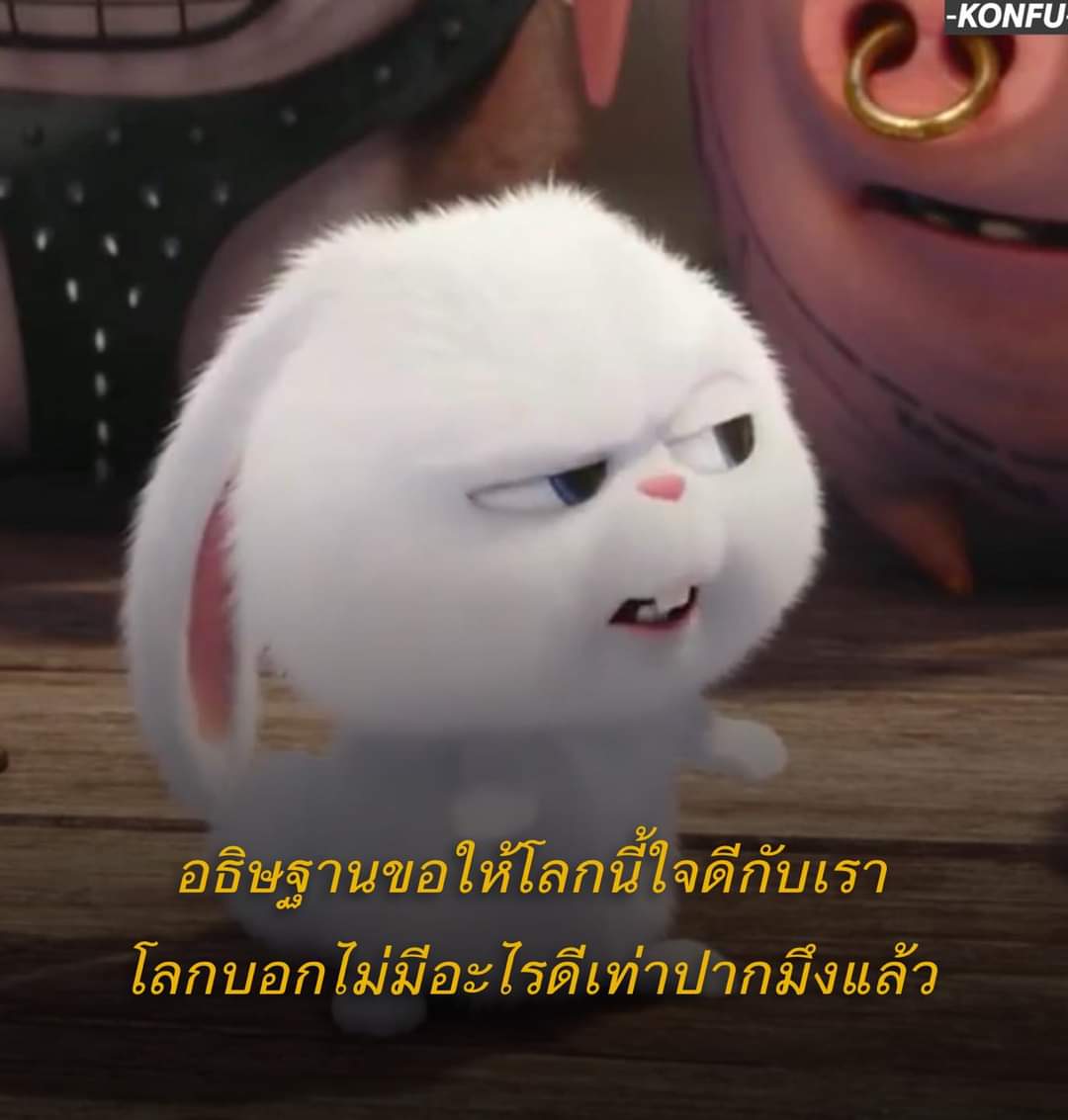 tiioioo's tweet photo. https://t.co/yjQRxeso6r