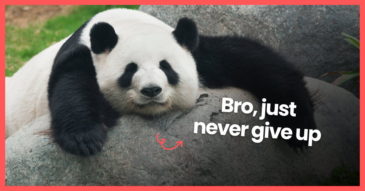 jegormenkov's tweet photo. •••

The “Never Give Up” rule is overrated in business.

Before you call me a cowardly sausage,

Let me explain one significant nuance.

There is a huge difference between:

“Quit the game” vs. “Give up the things”. 

Sure, if you want to win, you must stay in the game.

But it doesn’t mean banging your head against the wall daily.

Because there might be:

(A) Better tool to break the wall than your head.

(B) Better way for you to overcome the wall.

(C) Better wall for your desired outcome.

It’s closely tied to a strategic business mindset.

Why?

Because the longer you’re in business, the clearer it becomes:

It’s influential not only what you do in business but also what you don’t do.

Probably, you live in the real world like me.

This means you’re aware that you have limited resources of time and attention.

So it’s crucial to have your personal “I don’t do” list.

The things you’re willing to give up for more significant strategic results.

E.g.
✓ I don’t sacrifice long-term strategy for short-term gain
✓ I don’t work with arrogant people, no matter their status
✓ I don’t chase social status as the main strategy goal
✓ I don’t work on short-term tasks until 12:00
✓ I don’t answer calls or read emails until 12:00
✓ I don’t sell my time as the only and main service
✓ I don’t sacrifice my health for financial results
✓ I don’t buy business services and products spontaneously
✓ I don’t...

Maybe it’s time to give up on these things.

This is exactly how the “less is more” principle works.

It means not only doing the things, that matter in the long run.

But also avoiding things that hold you back at the moment.

The things that pull you off course.

Like this content?

Click here for more ￫ @jegormenkov

It’s my 137th day on the “X” platform.

Daily, I share business content that you might learn from.

9+ Years in Marketing & Sales.

100+ Businesses Worked With.

Warning: “Red pill” vibe only.