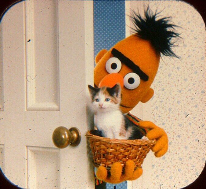 BertstripsEsp's tweet photo. https://t.co/2HSmPIrv8z