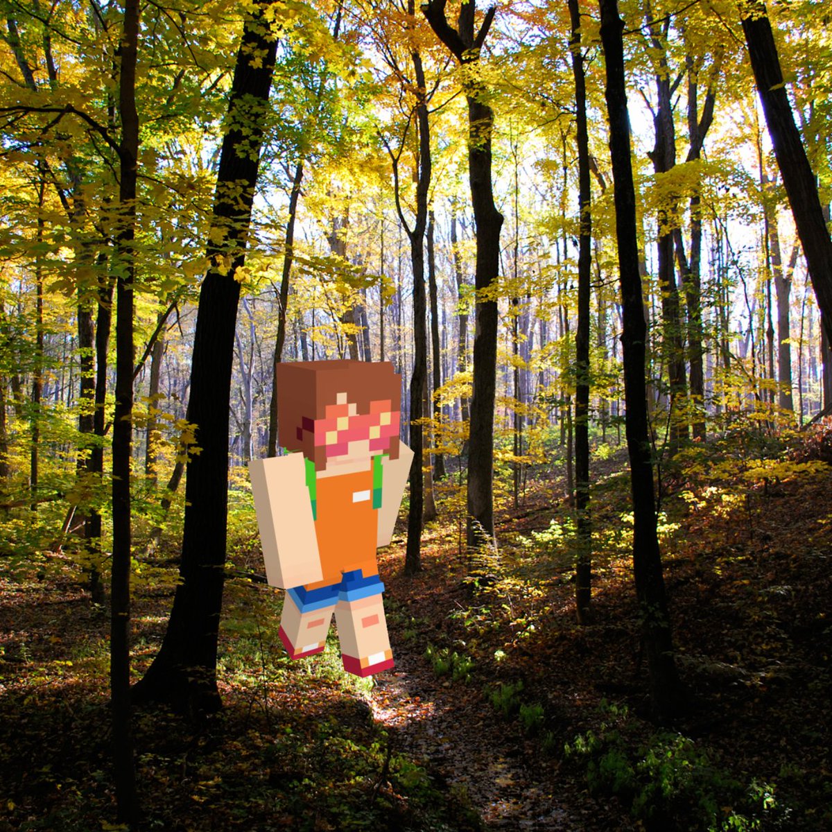 Where is Squiddo? tweet media