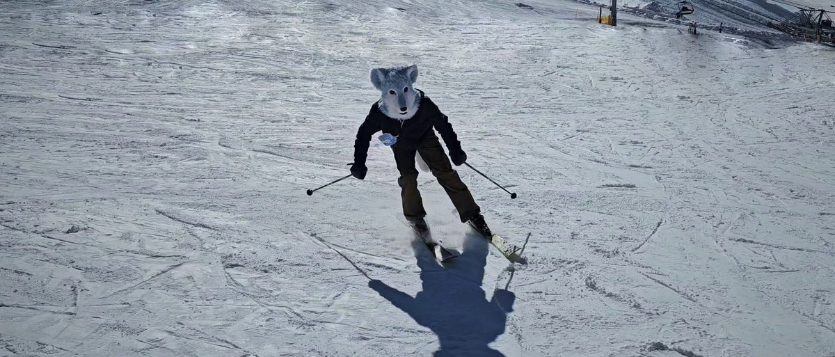 IGTBI's tweet image. I went to @furryskiweekend with @Runewuffy last weekend! It was my first time in Colorado and I had a blast! Special thanks to @DireHeartbeat @tekfox  @WileyFox_  for making it amazing.