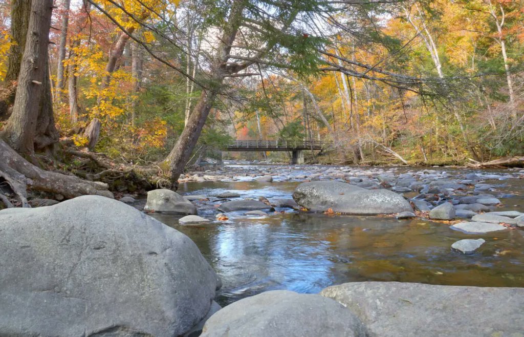 Tra il #Tennessee ed il #NorthCarolina si trova un parco nazionale poco conosciuto dagli europei ma amatissimo dagli americani: <a href="/GreatSmokyNPS/">GreatSmokyNPS</a> 
Siamo stati a #Gatlinburg, una delle sue porte d'accesso

itinerariodiviaggio.com/gatlinburg-ten…