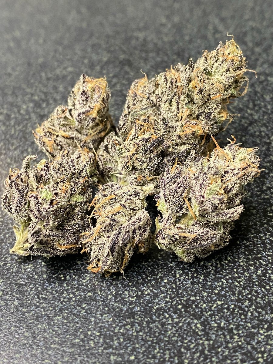 TreezEmerald's tweet photo. We call this window sill weed 🤣 https://t.co/cp0eIcNWim
