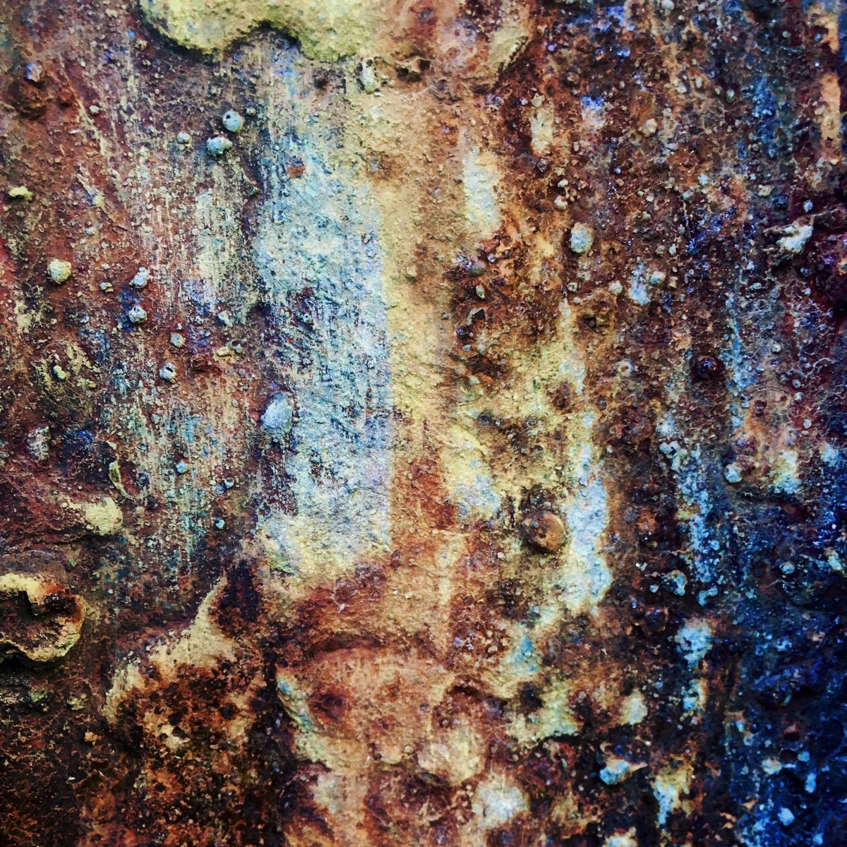 _ad_inf_'s tweet photo. Iron oxidized: a palette of rust and corrosion in a variety of colors. Decay.
π·π«π§π¨π¦πͺβ¬οΈ
#ColorsofCorrosion #RustPalette #TextureLove #TexturePhotography #AbstractPhotography #TextureIsPoetry https://t.co/uw82aah5GZ
