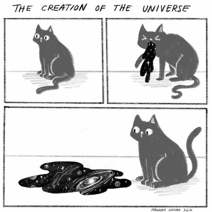 that’s exactly what happened