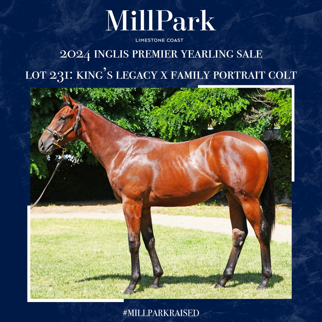 Our quality King's Legacy half-brother (Lot 231) to G3 winner Foxy Frida sells to @MoodyRacing and @kscoleman for $120,000 @inglis_sales Premier yearling sale. We look forward to following his progress on the track. #MillParkRaised