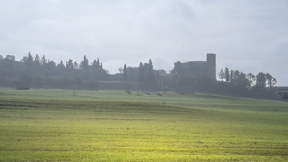 Lojaume's tweet photo. Castell de Castellmeià, Torrefeta i Florejacs, la Segarra, Catalonia.

#paisatges #boira #fog #castelldecastellmeià #torrefetaiflorejacs #lasegarra #segarrejant #aralleida #adnlleida @postureiglleida #lleidaturisme #catalonia #lasegarraturisme #castellscatalans https://t.co/7IcEf8tQUn
