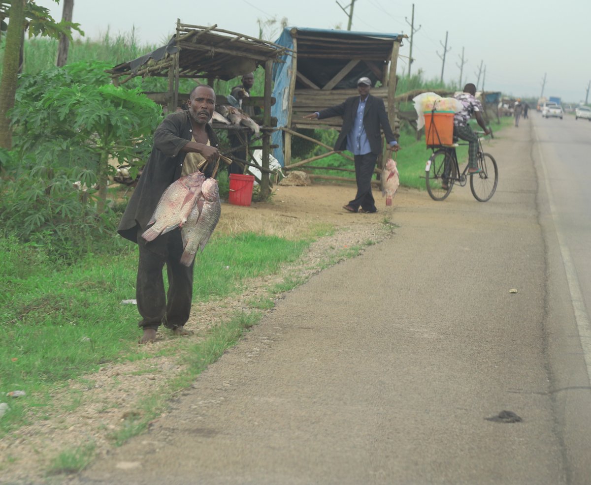 KigeziNews's tweet photo. #PDM beneficiaries doing Business at Katongo on Masaka- Kampala road
@GovUganda 
@PDMSecretariat 
@KagutaMuseveni  @StateHouseUg  @2008gomu 
@BakweraneTonny @WKajwengye  @MercyAhimbisib2 https://t.co/whasK8eJj9