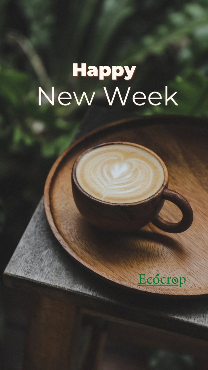 ecocrop's tweet photo. Happy New Week🥳☕ https://t.co/PO5z2c0n1n
