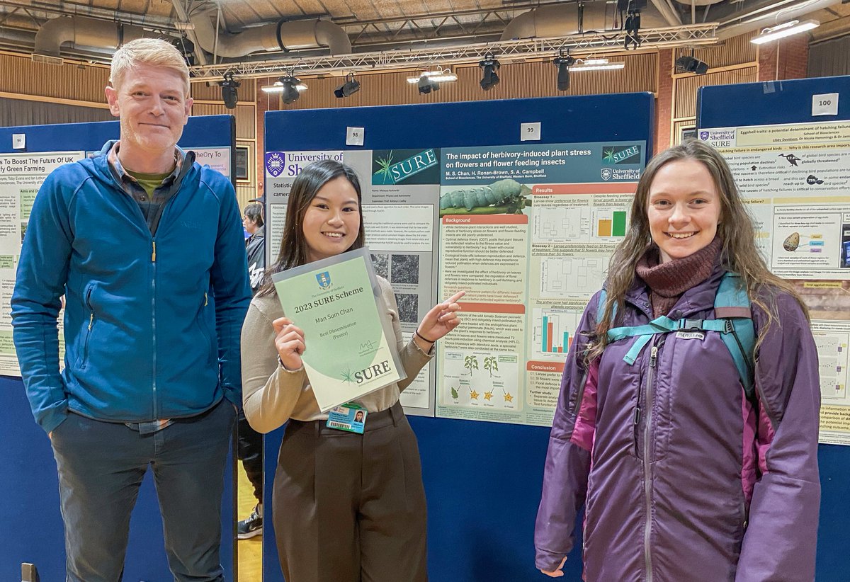 Stuart Campbell tweet media