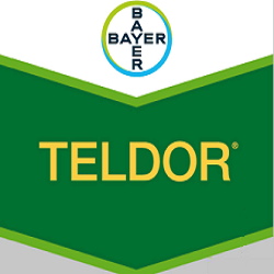 Het etiket van #Teldor heeft een uitbreiding gekregen waardoor er een extra middel beschikbaar is voor het bestrijden van #botrytis in #sla en #boon met peul. 
Lees er meer over in onderstaand artikel:
agro.bayer.nl/Uit-de-praktij…