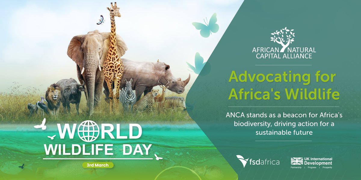 Embracing Africa's rich biodiversity in honor of Yesterday's World Wildlife Day! At ANCA, we are integrating nature into business practices and policymaking across the continent, paving the way for a nature-positive future in Africa and beyond. #WorldWildlifeDay #ANCA #Nature