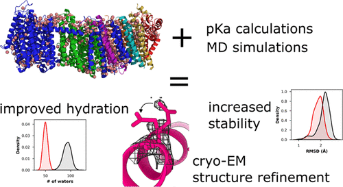 Happy to share our new article in @JPhysChem. pubs.acs.org/doi/epdf/10.10… #MDsimulations by @JonathanLasham @Amina93364815. #CryoEM analysis by @JanetVonck @Amina93364815 Volker Zickermann.