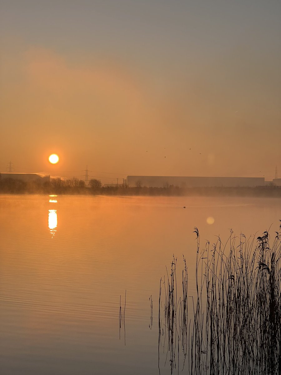 kazacenkojanis's tweet photo. Šad tad no rītiem ir auksts braukt ar velo, bet šādi skati atsver aukstumu. https://t.co/0zE67XesGs