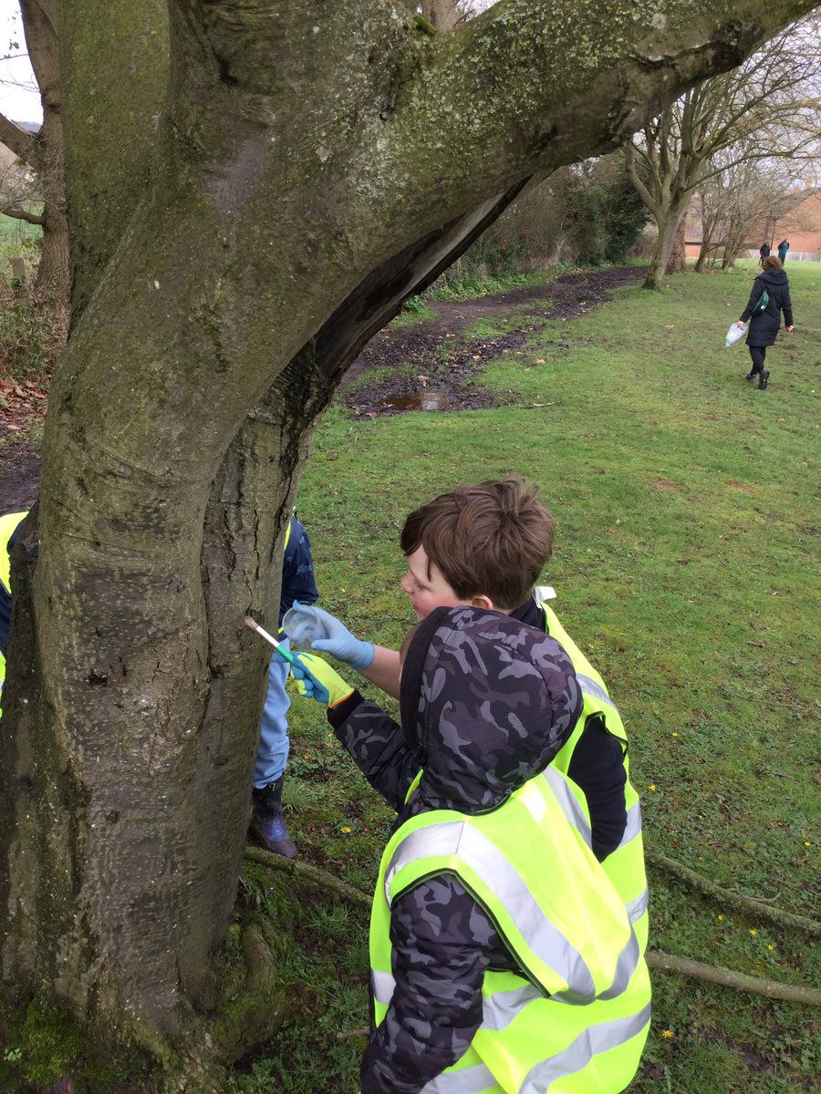 SPMVCedar's tweet photo. The children in Cedar class had a wonderful time last week celebrating #BritishScienceWeek https://t.co/TXMTYFOlAA