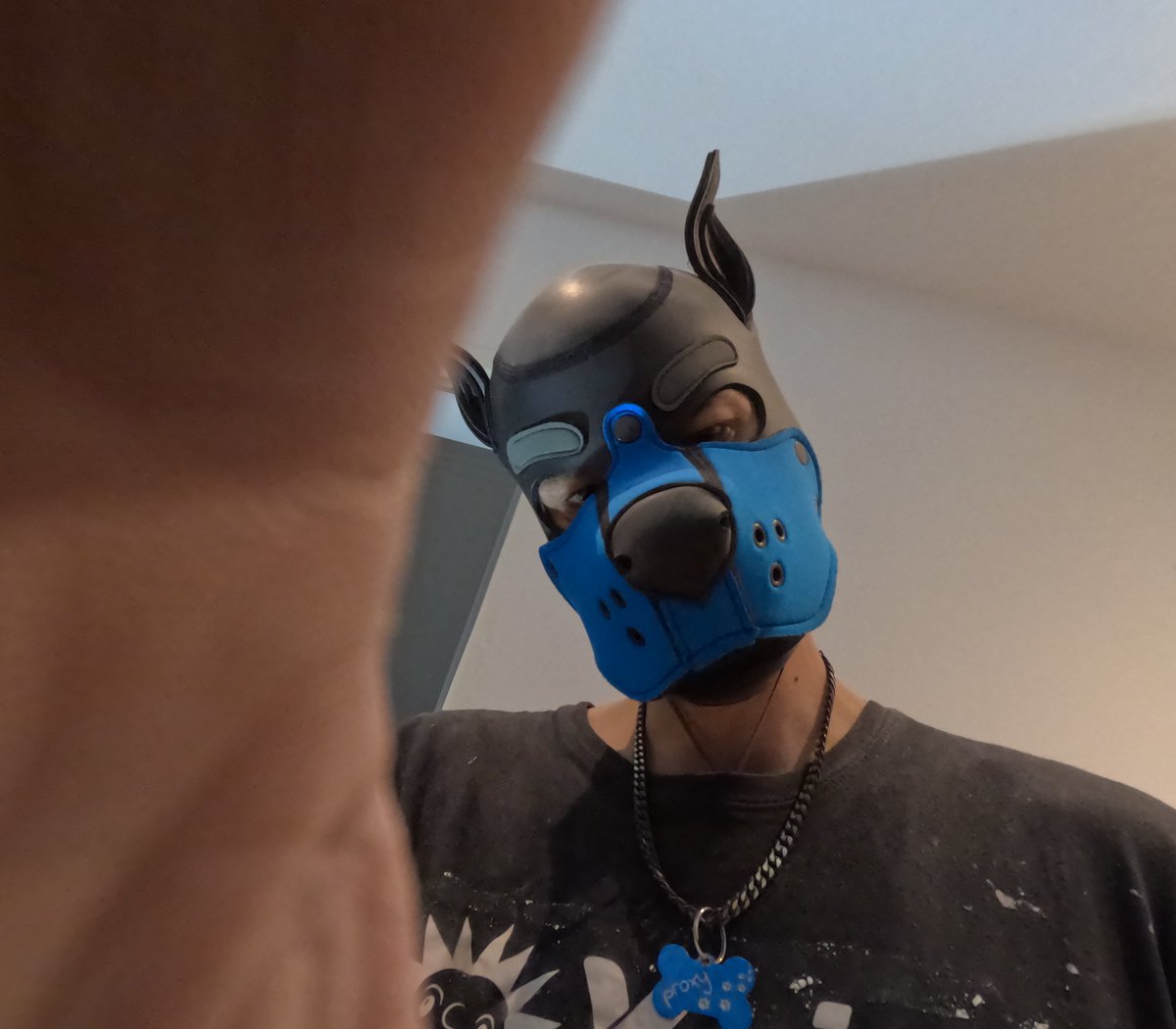 pup_proxy tweet media