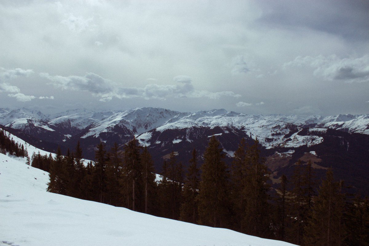 brewleydesign's tweet image. Austria 2024