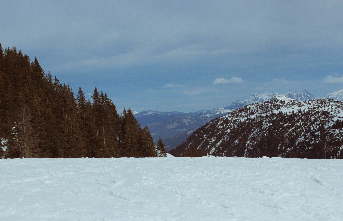 brewleydesign's tweet image. Austria 2024