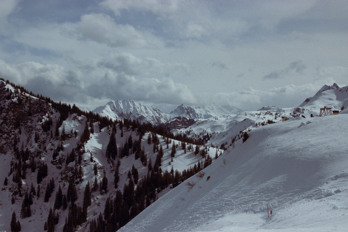 brewleydesign's tweet image. Austria 2024