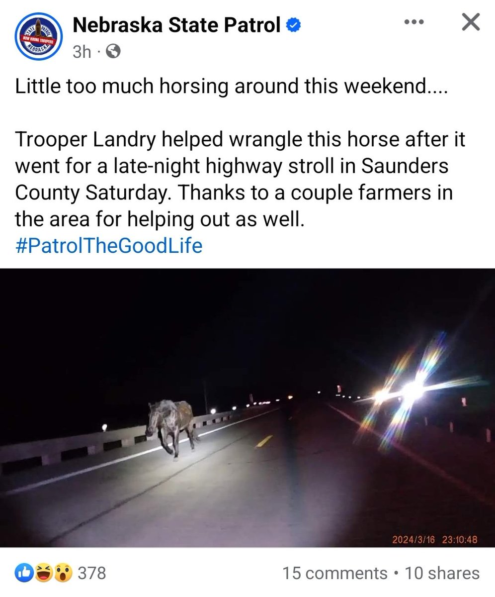 tcjohnson's tweet photo. @KeithMalinak Can you please tell Glenn there is a "horse on the highway!" in Nebraska too.  :) https://t.co/AvP78eMJmX