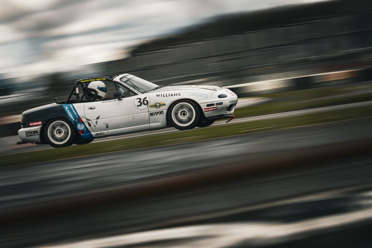 Antonela Pounder tweet media