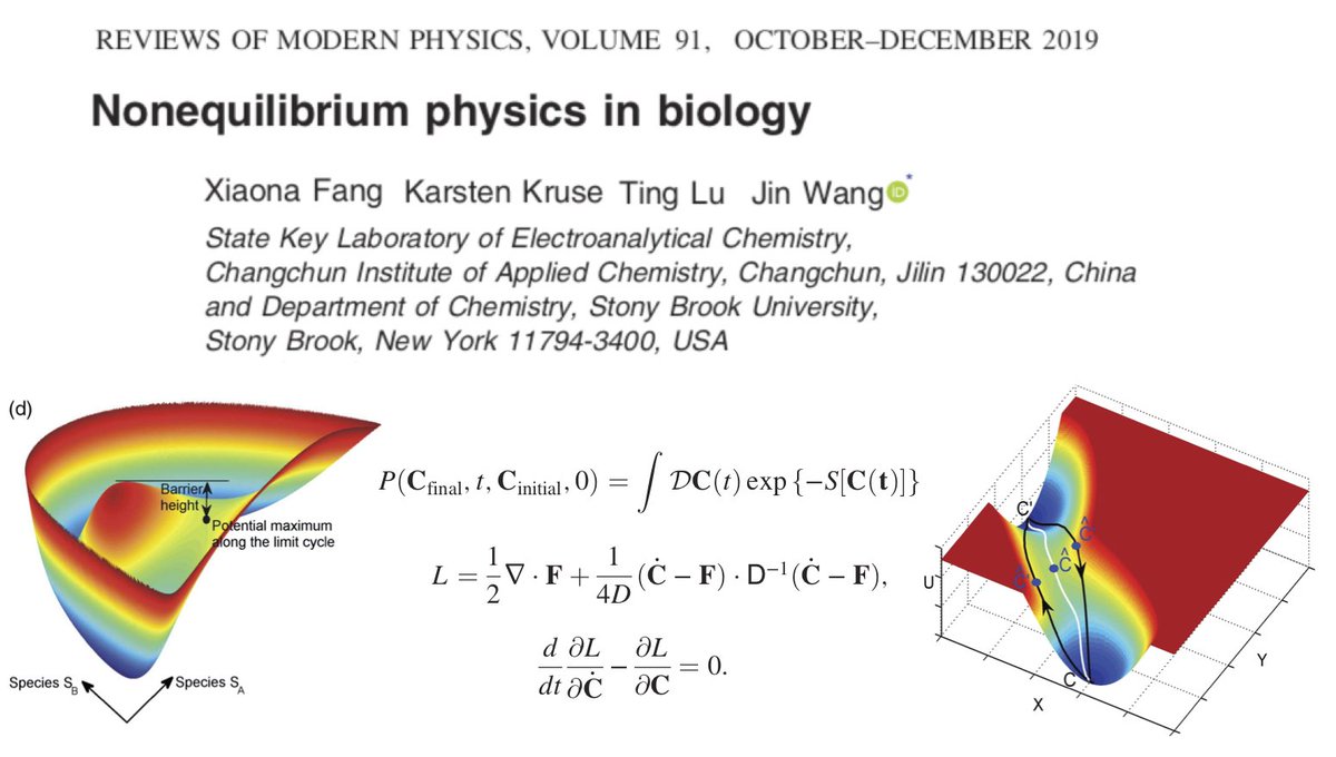 How do we approach the complexity of life as a nonequilibrium system? Using physics and, in particular, landscape and flux theory, many systems, from cells to ecology and cancer, can be adequately represented and modelled. Check this paper in Reviews of Modern Physics @APSphysics