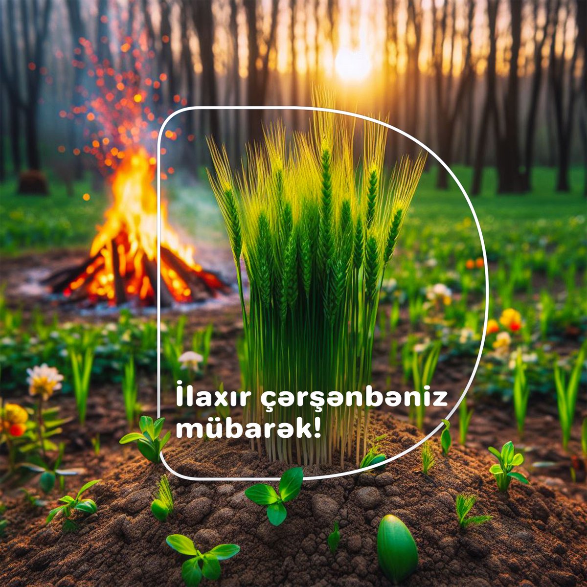 DigitelloAgency's tweet photo. Torpaq çərşənbəniz mübarək!

#digitello #YourKeywordinDigitalWorld #torpaqçərşənbəsi https://t.co/tPmHCUa6UG
