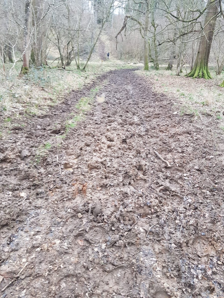 A few photos of #CirencesterPark after the #VWH hunted there on Saturday. The park will soon charge a fee to maintain the tracks, et while #FoxHunt visits for free. Dog walkers, ramblers & riders will continue to not be given advance notice re. the hunt @itvnews @WiltsAndGlosStd