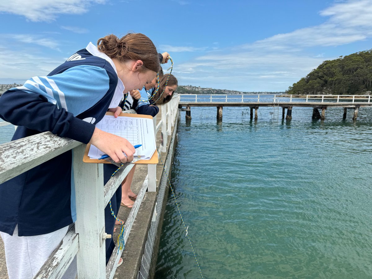 MSCWoolwich tweet media