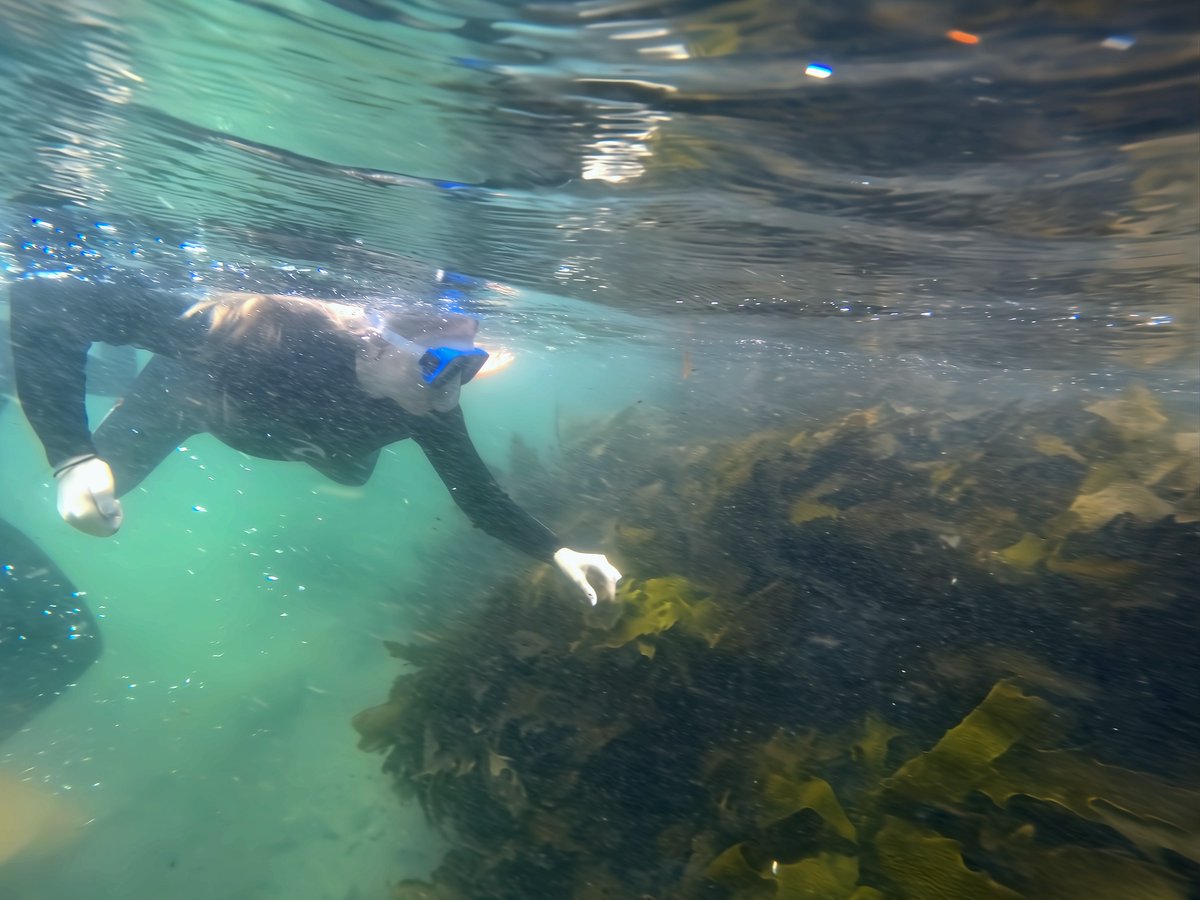 Yesterday, Year 12 Geography undertook their first HSC Fieldwork; exploring the Kelp Forests of South East Australia. It was a great day overall!

#geography #fieldwork #mscw