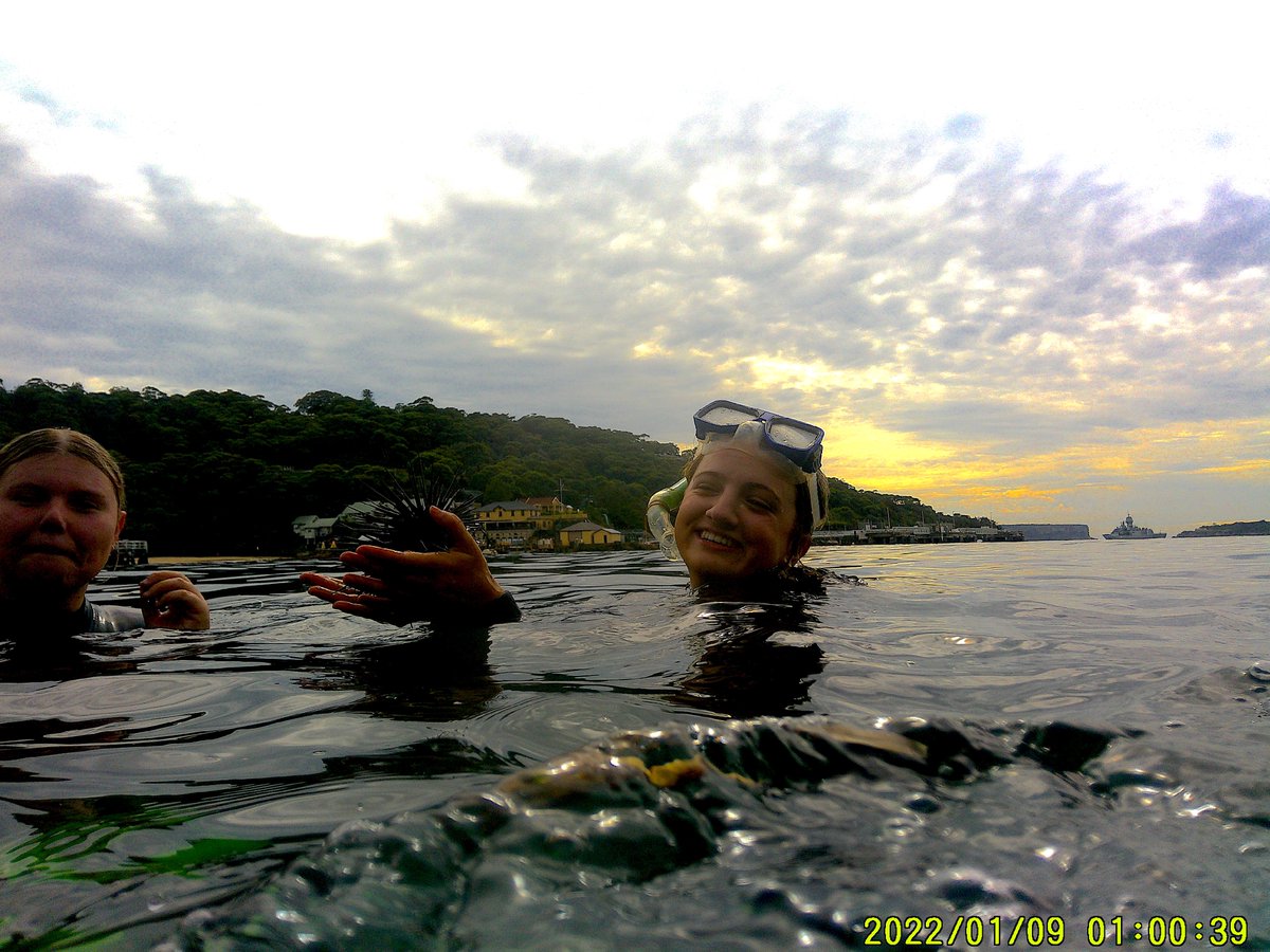 MSCWoolwich tweet media