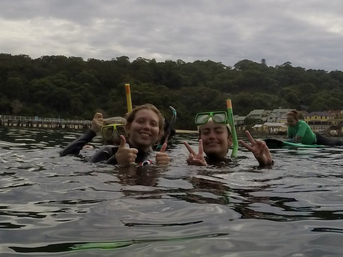 MSCWoolwich tweet media