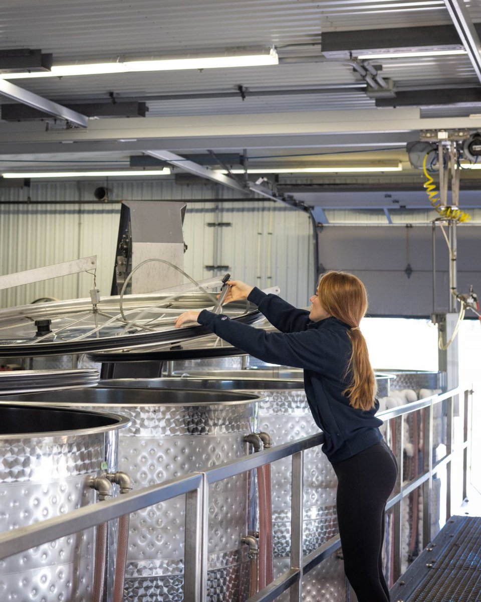 Wine Country Ontario (@winecountryont) on Twitter photo For today’s #WomeninVQA feature, we’re highlighting Brooke Husband, winemaker at <a href="/Queylus/">Domaine Queylus</a> 🥂
In 2022, she received the KML Top-30-Under-30 award for Hospitality in Canada and in 2023 she was awarded the Paul Pender Rising Star Award from the Ontario Wine Awards 🌟 For today’s #WomeninVQA feature, we’re highlighting Brooke Husband, winemaker at <a href="/Queylus/">Domaine Queylus</a> 🥂
In 2022, she received the KML Top-30-Under-30 award for Hospitality in Canada and in 2023 she was awarded the Paul Pender Rising Star Award from the Ontario Wine Awards 🌟